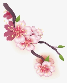 Blossom Drawing Mango - Cherry Blossom Picture Cartoon, HD Png Download, Free Download