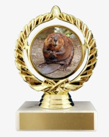 Beaver Logo Trophy On Flat White Marble Trophy Schoppy"s - Best Beaver, HD Png Download, Free Download
