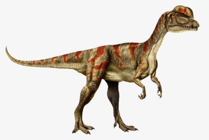 Genus Dilophosaurus, HD Png Download, Free Download