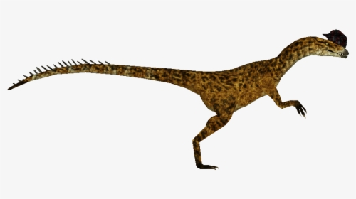 Dilophosaurus , Png Download - Velociraptor, Transparent Png, Free Download