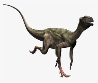 Compsognathus Transparent Background, HD Png Download, Free Download