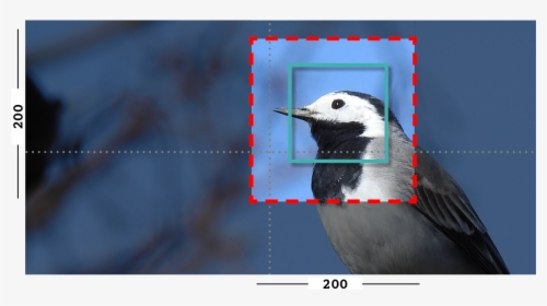 Example Of Fill And Closeness Filter On An Image With - Woodpecker, HD Png Download, Free Download