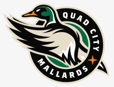 Quad City Mallards Logo, HD Png Download, Free Download