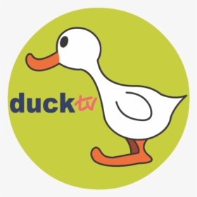 #logopedia10 - Duck Tv Logo Png, Transparent Png, Free Download