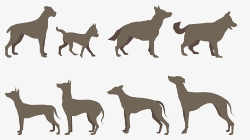 Dog Breed Silhouette - Dog, HD Png Download, Free Download