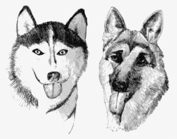 Husky And German Shepherd Drawing, HD Png Download, Free Download