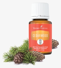 Cedarwood Young Living Png - Young Living Pine Oil, Transparent Png, Free Download