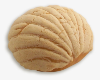 Vanilla Concha - Cookie, HD Png Download, Free Download