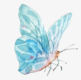 Transparent Watercolor Butterfly Png - Butterfly Watercolor Drawing Png, Png Download, Free Download
