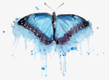 Transparent Watercolor Butterfly Png - Butterfly Watercolor Paint Png, Png Download, Free Download