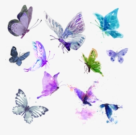 #butterflies #watercolor #teal #purple #green #png - Design Butterflies, Transparent Png, Free Download
