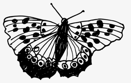 Transparent Background Butterfly Drawings Png, Png Download, Free Download