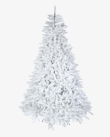 Christmas Tree Calgary - White Christmas Tree, HD Png Download, Free Download