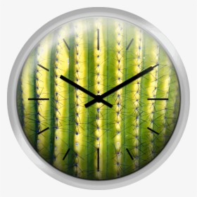 Green Saguaro Cactus - Circle, HD Png Download, Free Download