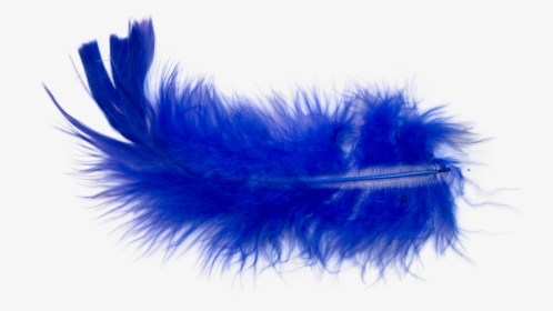 I Did A Little Research On How To Photoshop Out A Color - Feather, HD Png Download, Free Download