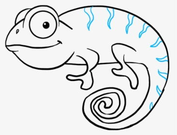 How To Draw Chameleon - Chameleon Drawing, HD Png Download, Free Download