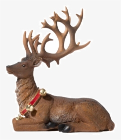 Elk, HD Png Download, Free Download