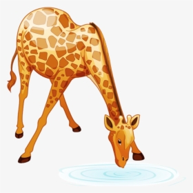 Giraffe Cartoon Animal Images - Vet Check Up Clipart, HD Png Download, Free Download