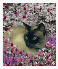 Stella Chocolate Point Siamese Cat In Flowers I Fleece - Siamese Cat, HD Png Download, Free Download