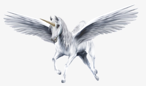 An Beautiful White Winged Unicorn - Pegasus Transparent Background, HD Png Download, Free Download
