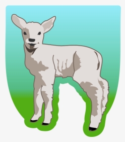Young Lamb - Sheep Clip Art, HD Png Download, Free Download
