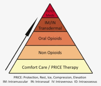 The Emphasis Of These Guidelines Is For All Levels - Analgesia Pyramid, HD Png Download, Free Download