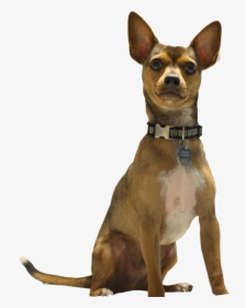 Companion Dog - Dog Barking Png, Transparent Png, Free Download