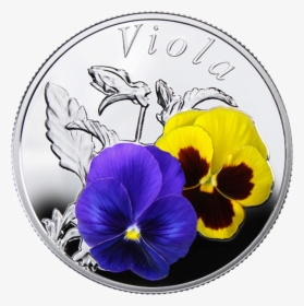 Pansy, HD Png Download, Free Download