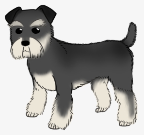Miniature Schnauzer Puppy Dog Breed Companion Dog - Miniature Schnauzer, HD Png Download, Free Download
