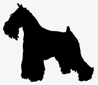 Miniature Schnauzer Scottish Terrier English Mastiff - Mini Schnauzer Silhouette, HD Png Download, Free Download