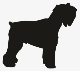 Miniature Schnauzer Dog Breed Rottweiler Dobermann - Schnauzer Silhouette Png, Transparent Png, Free Download
