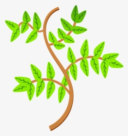 Leaves And Branches Clip Arts - Leaves And Branches Clipart, HD Png Download, Free Download