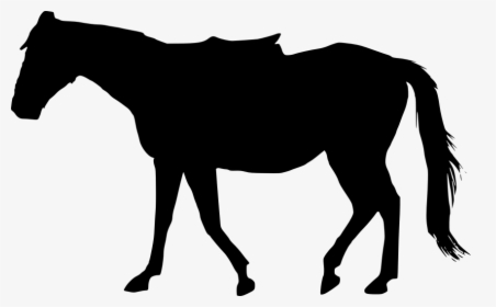 Horse Silhouette Vector Png Download - Transparent Background Horse Silhouette Png, Png Download, Free Download