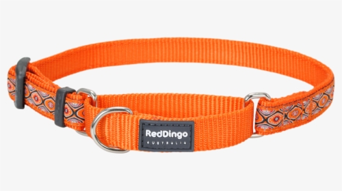 Martingale Snake Eyes Orange Designer Dog Collar - Dog Collar, HD Png Download, Free Download