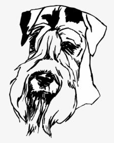 Airedale Terrier, HD Png Download, Free Download