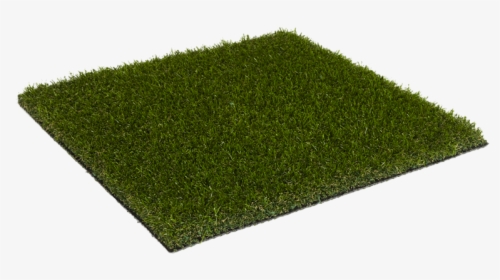 Lawn, HD Png Download, Free Download