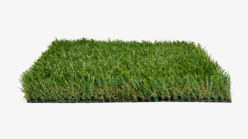 Lush Artificial Turf - Sweet Grass, HD Png Download, Free Download