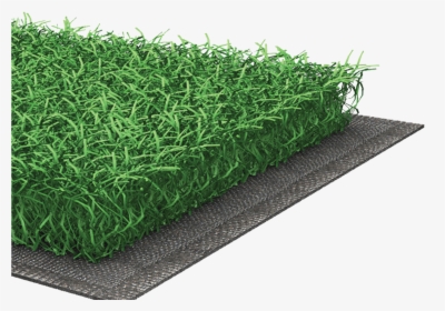 Sport Turf System, HD Png Download, Free Download