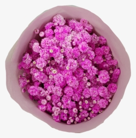Baby"s Breath Tinted - Artificial Flower, HD Png Download, Free Download