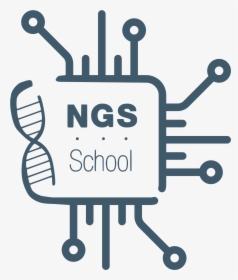 Ngs19 Logo - Decision Engines, HD Png Download, Free Download