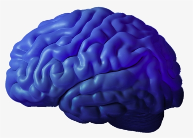Yellow Brain, HD Png Download, Free Download