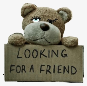 #flirtaciouseyes #teddybear #toy #sign #cardboard #lookingforafriend - Cute Dpz For Whatsapp, HD Png Download, Free Download