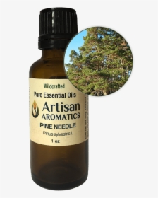 Pine Needle Essential Oil - Ocimum Basilicum Products Png, Transparent Png, Free Download