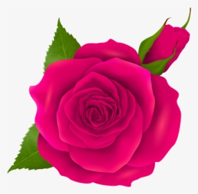 Rose Cliparts Png Transparent - Birds Eye View Of Flowers, Png Download, Free Download