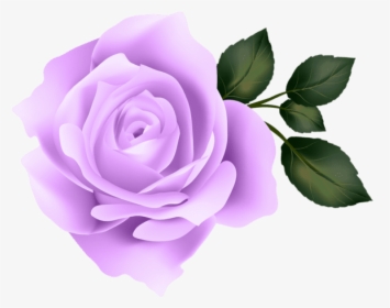 Transparent Purple Roses Clipart - Purple Roses Transparent Background, HD Png Download, Free Download