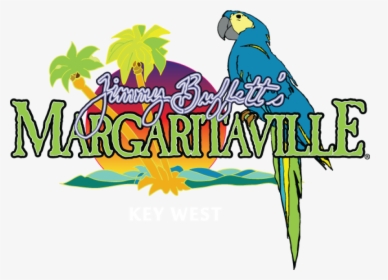 Transparent Margaritaville Logo Png - Jimmy Buffett Margaritaville, Png Download, Free Download