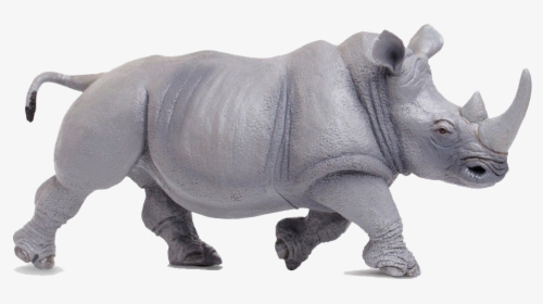 Transparent Rhinoceros Png - Rhinoceros, Png Download, Free Download