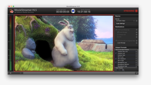 Transparent Streamer Png - Big Buck Bunny, Png Download, Free Download