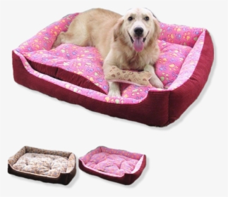 Paw Print Dog Bed For Small To Large Pooches Pooch - Dog Bed, HD Png Download, Free Download