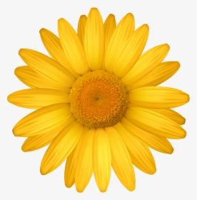 Daisy Clipart For Printable - Daisy Flower Clipart, HD Png Download, Free Download